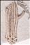Aulocrinus bellus