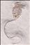 Linocrinus sp.